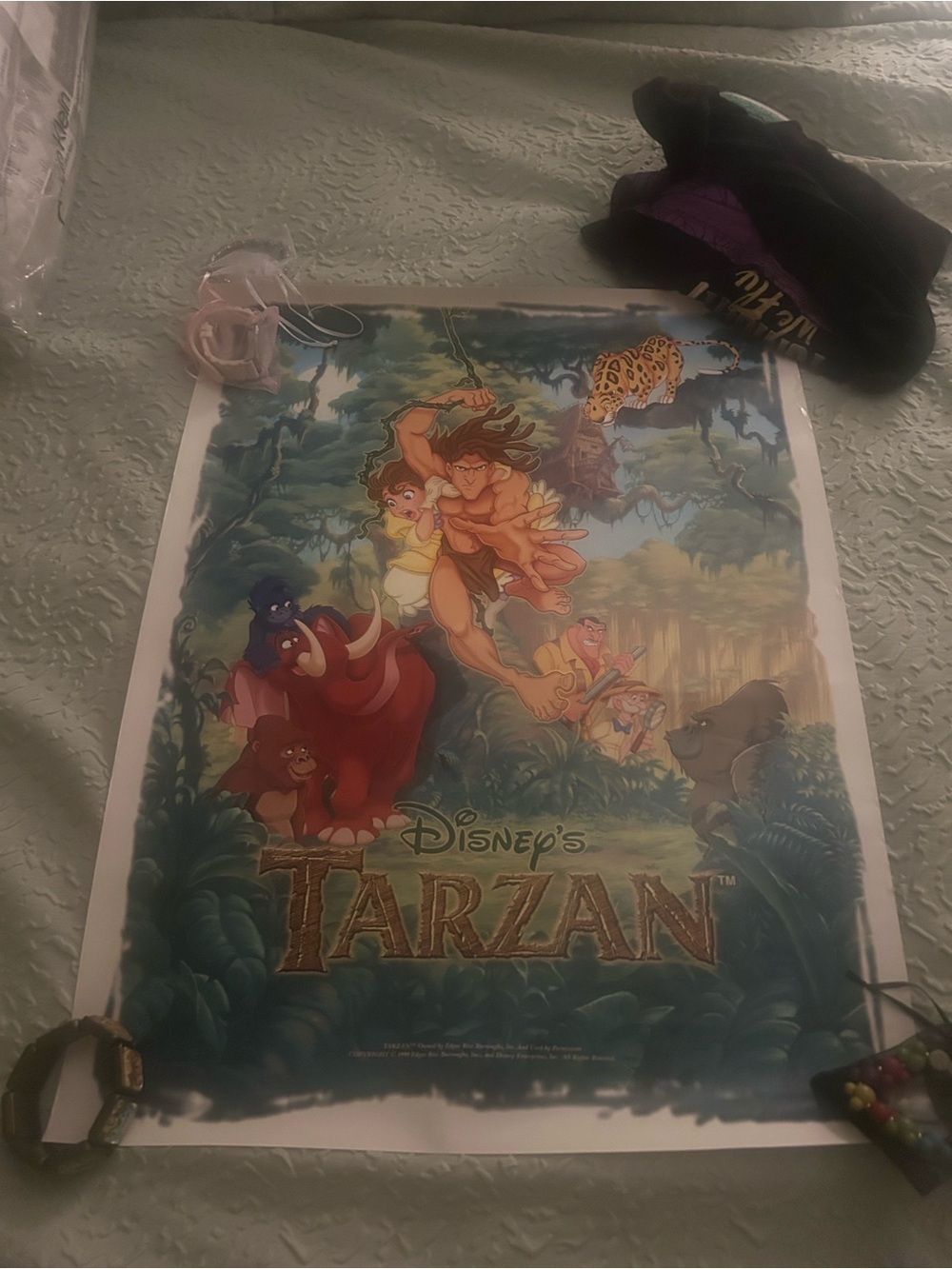Disney Tarzan Poster Roll with Black Tube and White Label